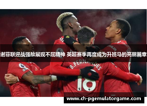 谢菲联迎战强敌展现不屈精神 英超赛季再度成为升班马的亮丽篇章