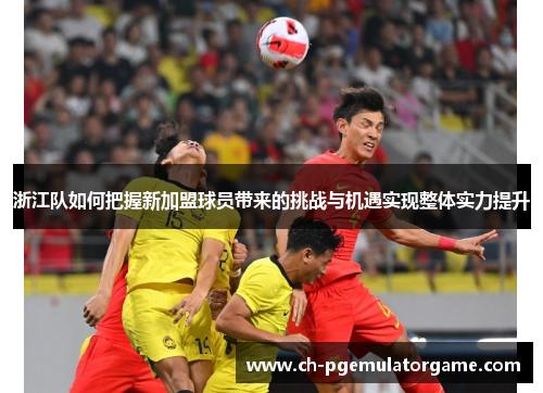 浙江队如何把握新加盟球员带来的挑战与机遇实现整体实力提升