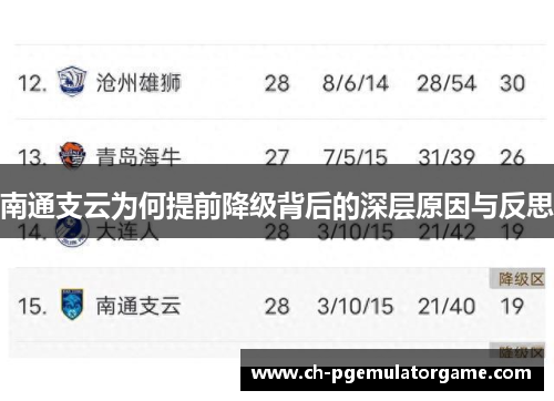 南通支云为何提前降级背后的深层原因与反思