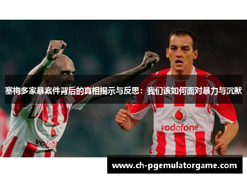 塞梅多家暴案件背后的真相揭示与反思：我们该如何面对暴力与沉默