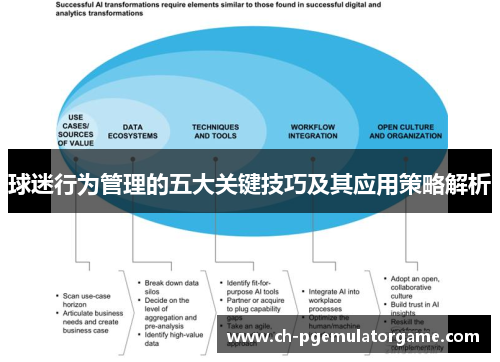 球迷行为管理的五大关键技巧及其应用策略解析
