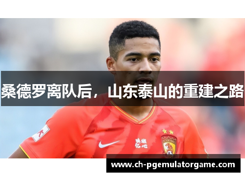 桑德罗离队后，山东泰山的重建之路