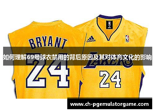 如何理解69号球衣禁用的背后原因及其对体育文化的影响