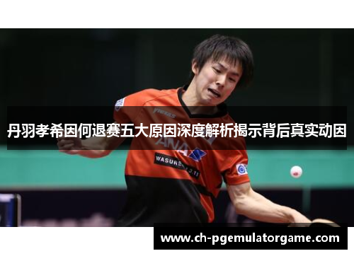 丹羽孝希因何退赛五大原因深度解析揭示背后真实动因