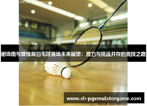 谢浩南与曾维瀚羽毛球赛场未来展望:潜力与挑战并存的竞技之路