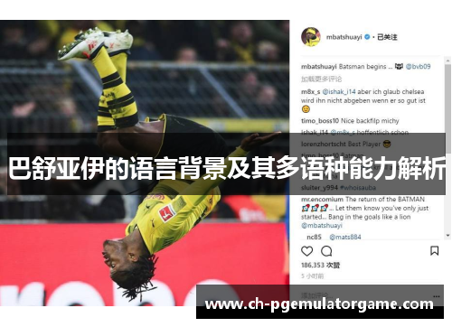 巴舒亚伊的语言背景及其多语种能力解析