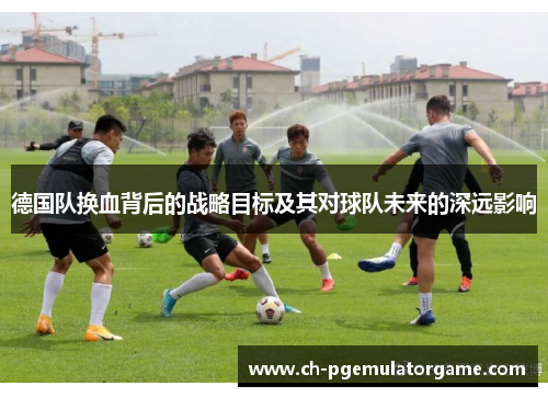 德国队换血背后的战略目标及其对球队未来的深远影响 德国队换血背后的战略目标及其对球队未来的深远影响