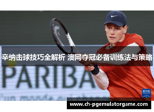 辛纳击球技巧全解析 澳网夺冠必备训练法与策略