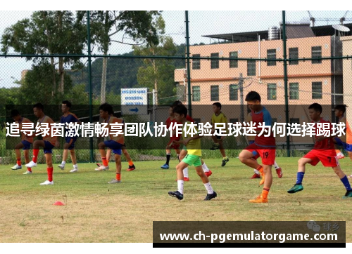 追寻绿茵激情畅享团队协作体验足球迷为何选择踢球 追寻绿茵激情畅享团队协作体验足球迷为何选择踢球