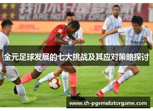 金元足球发展的七大挑战及其应对策略探讨