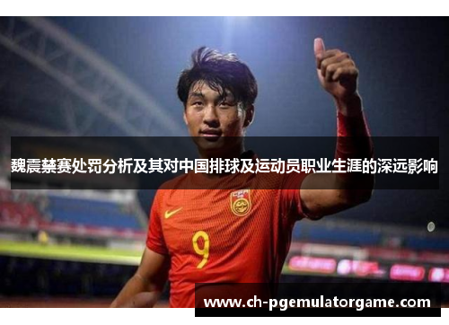 魏震禁赛处罚分析及其对中国排球及运动员职业生涯的深远影响