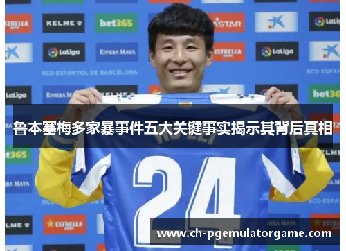 鲁本塞梅多家暴事件五大关键事实揭示其背后真相