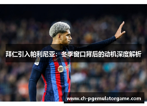 拜仁引入帕利尼亚：冬季窗口背后的动机深度解析