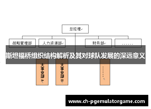 斯坦福桥组织结构解析及其对球队发展的深远意义