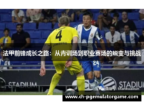 法甲前锋成长之路：从青训场到职业赛场的蜕变与挑战