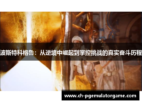 波斯特科格鲁：从逆境中崛起到掌控挑战的真实奋斗历程