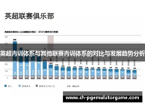 英超青训体系与其他联赛青训体系的对比与发展趋势分析